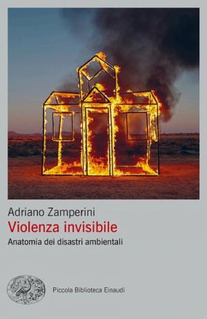 Copertina di Violenza invisibile