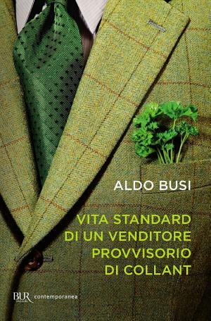 Copertina di Vita standard di un venditore provvisorio di collant