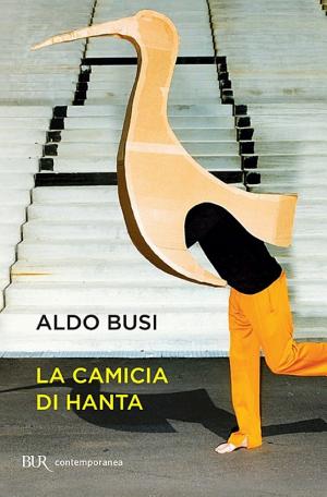 Copertina di La camicia di Hanta