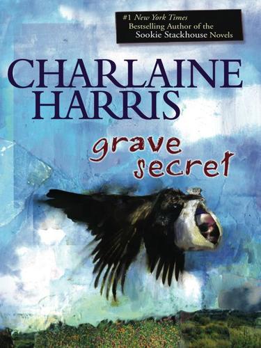 Copertina di Grave secret