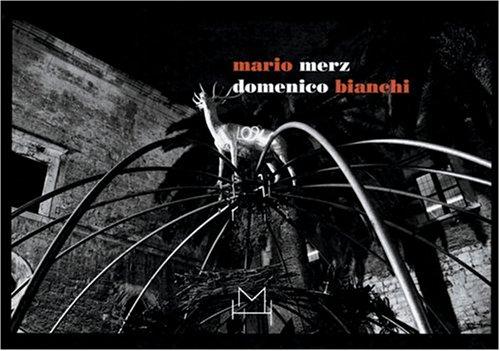 Copertina di Domenico Bianchi