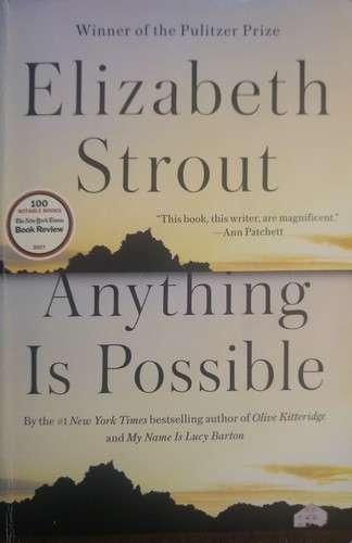 Copertina di Anything is possible