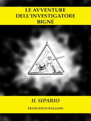 Copertina di Le avventure dell'investigatore Bignè - Il sipario