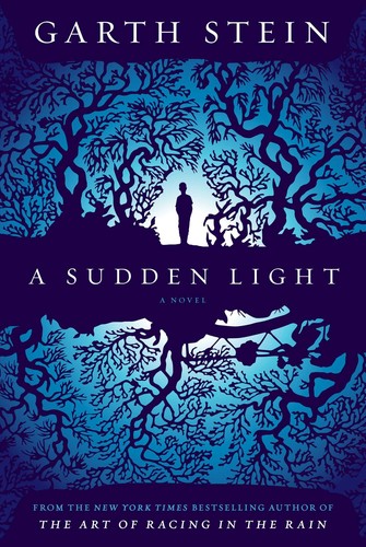 Copertina di A Sudden Light