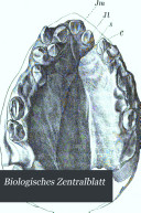Copertina di Biologisches Centralblatt