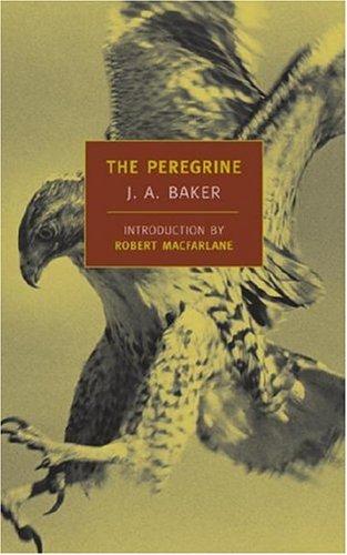 Copertina di The Peregrine (New York Review Books Classics)