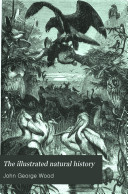 Copertina di The Illustrated Natural History: Birds