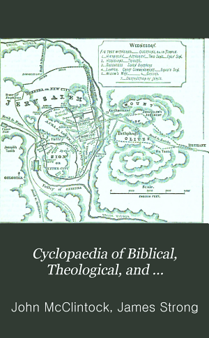 Copertina di Cyclopaedia of Biblical, Theological, and Ecclesiastical Literature
