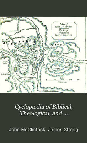 Copertina di Cyclopædia of Biblical, Theological, and Ecclesiastical Literature