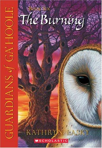 Copertina di The burning