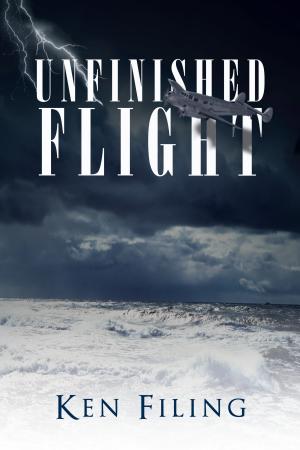 Copertina di Unfinished Flight