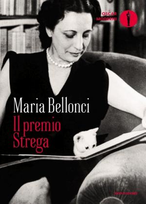 Copertina di Il premio Strega
