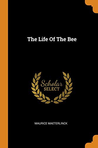Copertina di Life of the Bee
