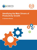 Copertina di Identifying the Main Drivers of Productivity Growth A Literature Review