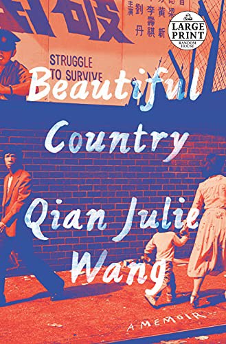 Copertina di Beautiful Country