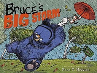 Copertina di Bruce's Big Storm