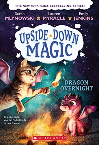Copertina di Dragon overnight