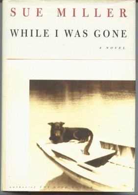 Copertina di While I Was Gone
