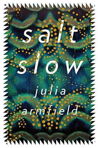 Copertina di salt slow