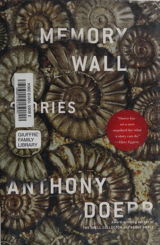 Copertina di Memory Wall