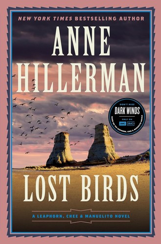 Copertina di Lost Birds