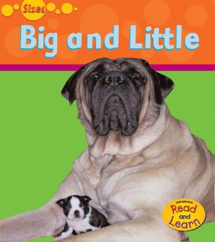 Copertina di Big And Small