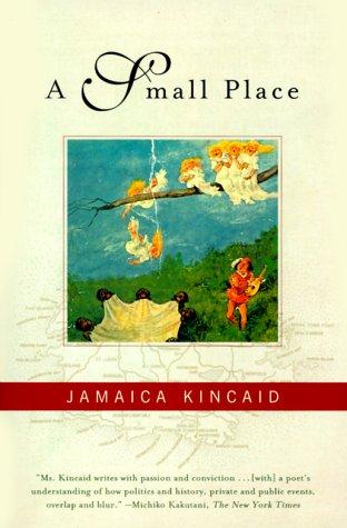 Copertina di A small place