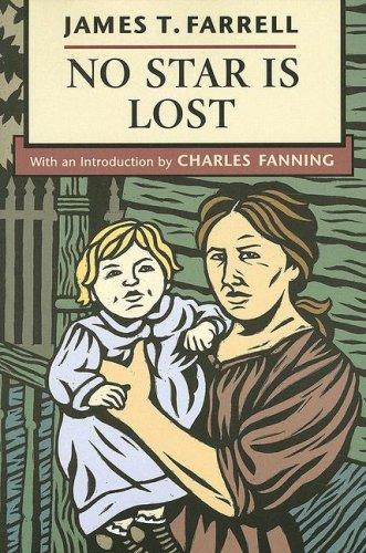 Copertina di No star is lost