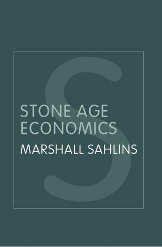 Copertina di Stone age economics