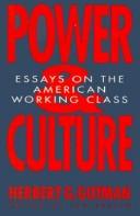 Copertina di Power and Culture: Essays on the American Working Class