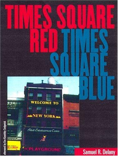 Copertina di Times Square Red, Times Square Blue (Sexual Cultures)