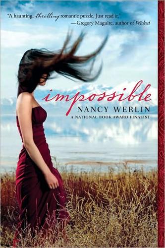 Copertina di Impossible : a novel