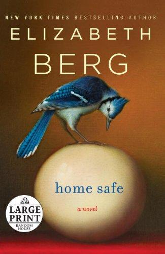 Copertina di Home safe