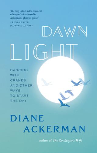 Copertina di Dawn light