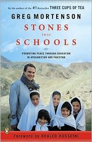 Copertina di Stones into schools