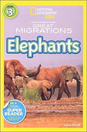 Copertina di Elephants