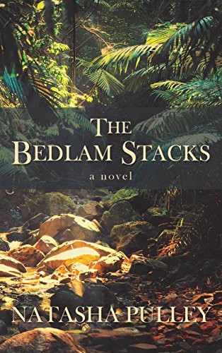 Copertina di The Bedlam Stacks