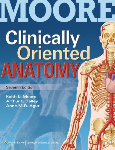 Copertina di Clinically Oriented Anatomy
