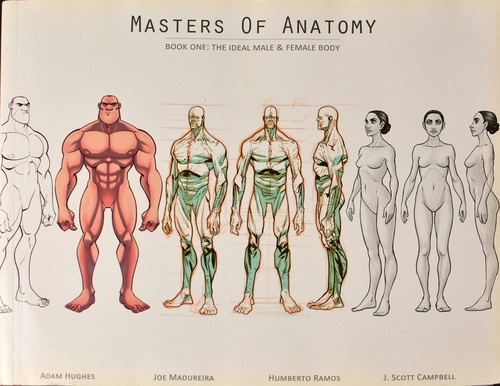 Copertina di The Ideal Male & Female Body (Masters of Anatomy #1)