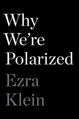 Copertina di Why We're Polarized