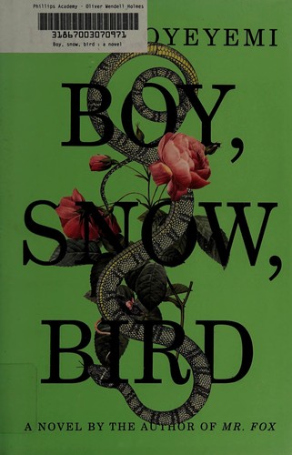 Copertina di Boy, Snow, Bird