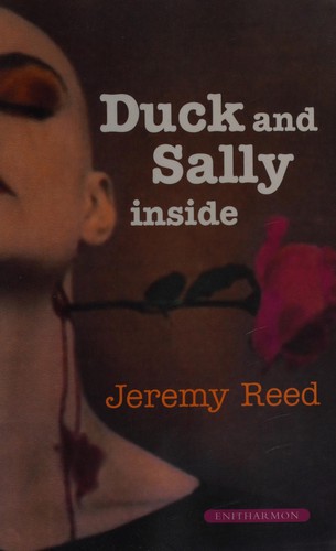 Copertina di DUCK AND SALLY INSIDE
