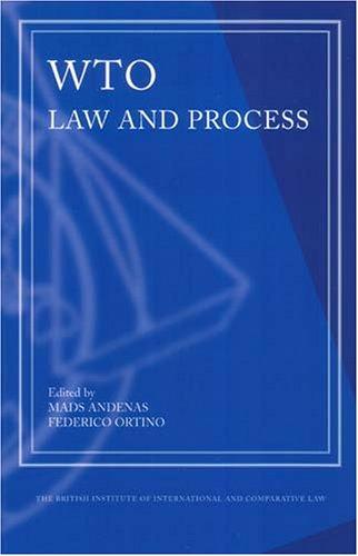 Copertina di WTO law and process
