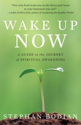 Copertina di Wake up now