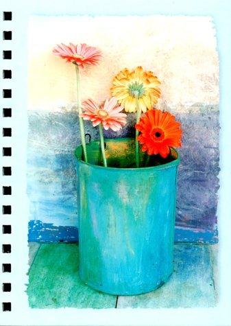 Copertina di Gerbera Daisies