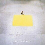 Copertina di Wolfgang-Laib-Retrospektive <2000 - 2003, Washington, DC u.a.>