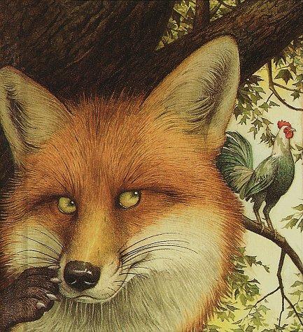 Copertina di The fox & the rooster