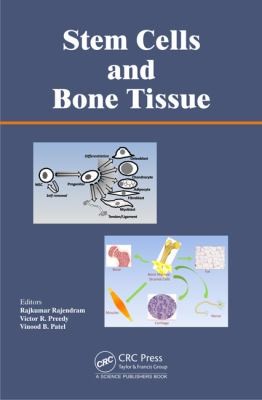 Copertina di Stem Cells And Bone Tissue