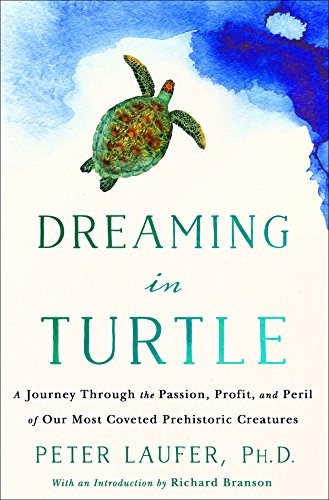Copertina di Dreaming in Turtle