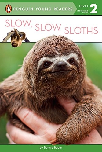 Copertina di Slow, Slow Sloths